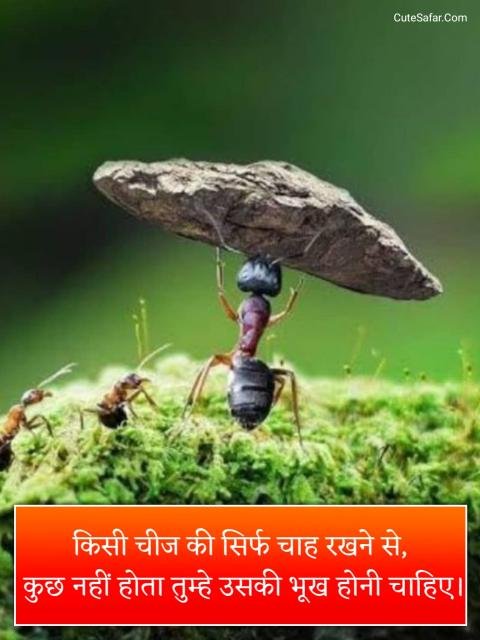 Motivational Quotes In Hindi