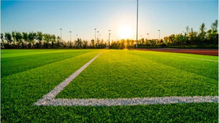 The Football Pitch: More Than Just Grass