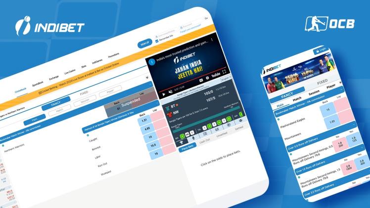 Benefits of Using Indibet for Real Money Cricket Betting